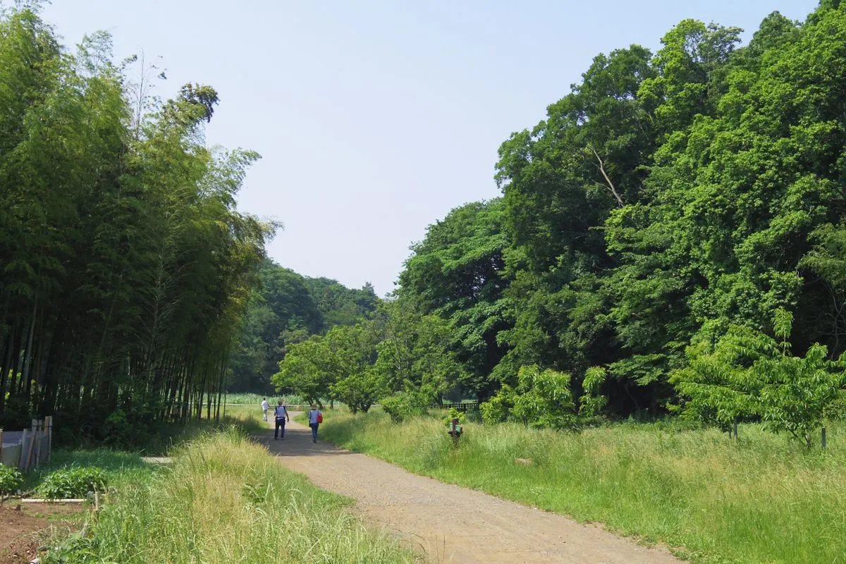 🌳 가나가와 현립 치가사키사토야마 공원 이미지 1
